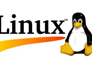 Steam na&nbsp;Linuksie „nieetyczny”? Tak&nbsp;twierdzi założyciel fundacji ds.&nbsp;otwartego oprogramowania