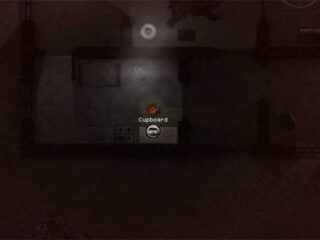 Darkwood: Survival horror dla prawdziwych „hardkorów”. Na&nbsp;dodatek polski [WIDEO]