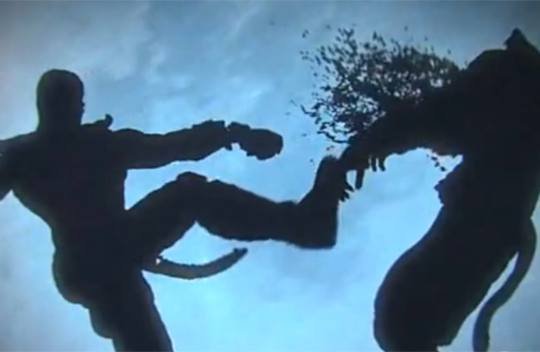 Mortal Kombat: Nowy trailer z walczącymi… cieniami [WIDEO]