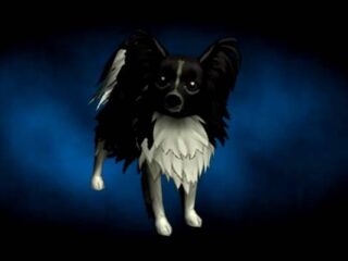 Torchlight II: Oto twój&nbsp;nowy pet – Papillon! [WIDEO]