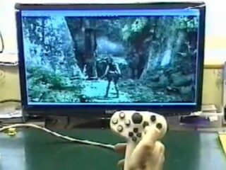 ORTHROS: Pad/joystick obsługiwany jedną ręką [WIDEO]