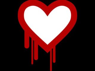 Heartbleed: Gracze, lepiej zmieńcie hasła