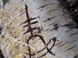 Murdered: Soul Suspect ? Nowa, tajemnicza gra Square Enix. Od&nbsp;twórców Quantum Conundrum?