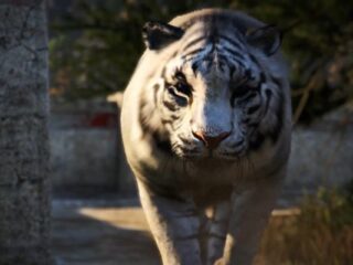 Co&nbsp;czeka na&nbsp;was w&nbsp;Kyracie? Zdradza to&nbsp;nowy fabularny trailer Far Cry´a 4 [WIDEO]