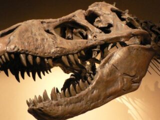 Koniec konsol? Nie&nbsp;tak&nbsp;szybko…