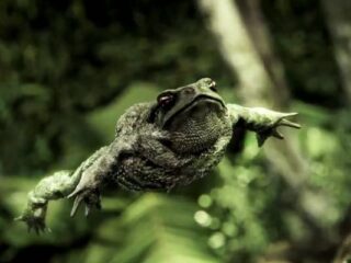 Crysis 3: Demo technologicznie CryEngine 3 naprawdę MIAŻDŻY [WIDEO]