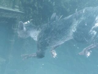 The Last Guardian – pierwsze konkretne info o nowej grze studia Team ICO