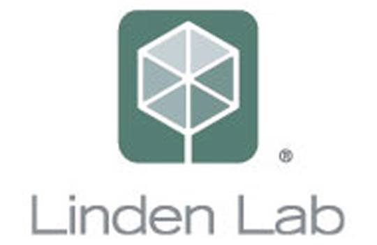 Plotka: Microsoft kupi Linden Lab, twórców Second Life?