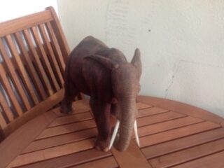 [Na marginesie] Pieski, graty i&nbsp;kwadraty