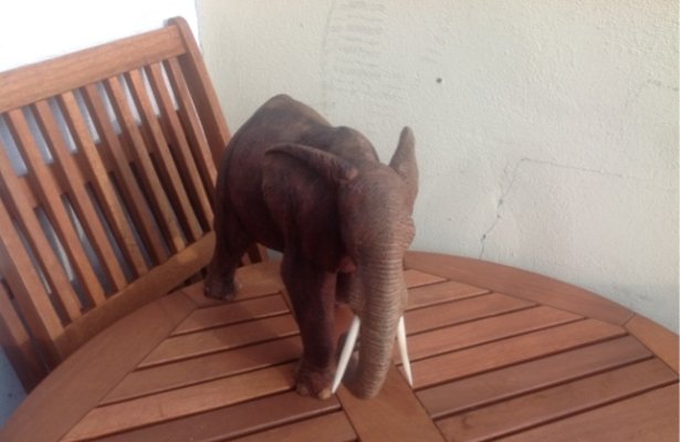 [Na marginesie] Pieski, graty i&nbsp;kwadraty