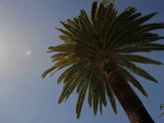 E3 2010: Nie byłeś na stoisku Ubisoftu na E3? Możesz to nadrobić… [WIDEO]