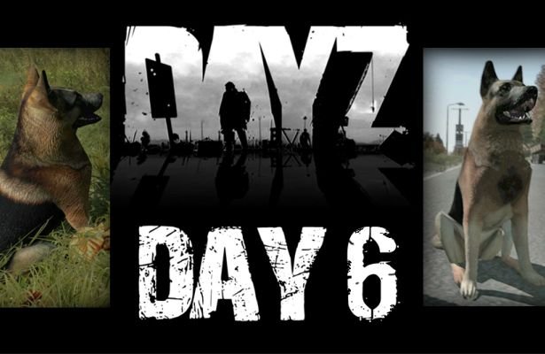 DayZ: Psy odporne na&nbsp;zombie [WIDEO]
