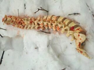 Fotosy z internetowego serialu Mortal Kombat i plotki o nowej ekranizacji Dooma