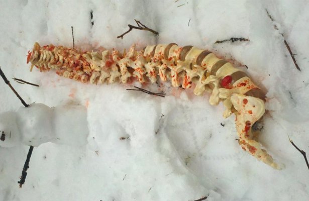 Fotosy z internetowego serialu Mortal Kombat i plotki o nowej ekranizacji Dooma