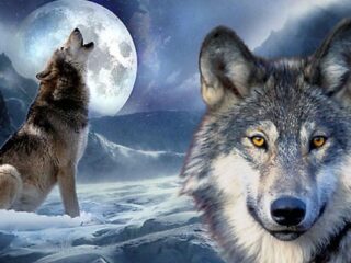 Destiny: Rise of Iron – Premierowy zwiastun [WIDEO]