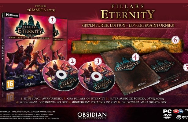 Pierwszy nakład pudełkowego Pillars of Eternity trafi do&nbsp;Polski w&nbsp;dość ciekawej wersji