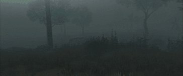nadgodziny-12-09-15-40_177hk.gif
