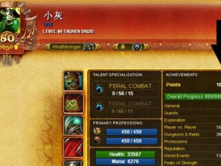 Oto pierwszy człowiek, który ukończył World of Warcraft