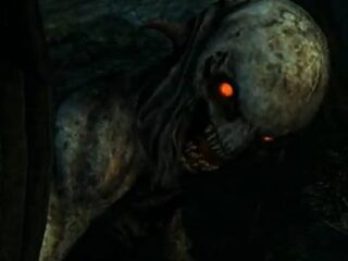 Wiedźmin 2: Zabójcy Królów – Nowy „pamiętnik twórców”. O fabule…