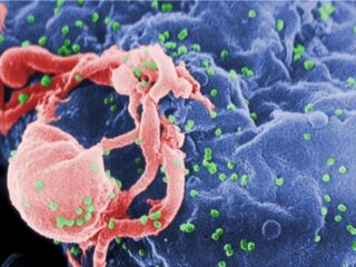 Sukces! Gracze pomagają naukowcom odkryć enzym sprzyjający AIDS