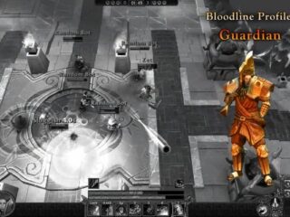 Bloodline Champions: Guardian, czyli strażniczka. Inaczej: kobieta z brodą [WIDEO]