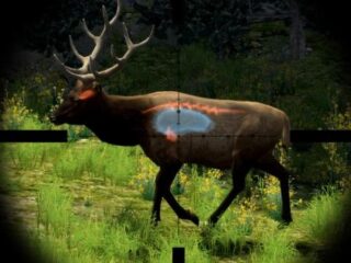 Cabela´s Big Game Hunter 2010 – konsolowcy też będą mogli sobie zapolować