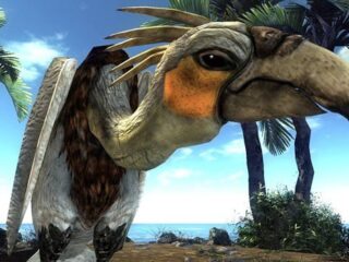 Demo Risen jeszcze przed jego premierą!