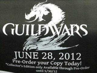 Guild Wars 2: Data premiery?