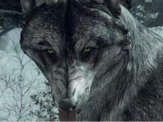 Najbardziej oczekiwane DLC do&nbsp;Call of Duty: Ghosts już jest. Kto chętny na&nbsp;skórkę wilka? [WIDEO]