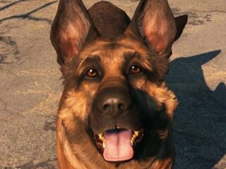 Bethesda i Xbox wpłaciły 10 tysięcy dolarów na fundację dla zwierząt, by uczcić River, na której wzorowano Dogmeata z Fallouta 4