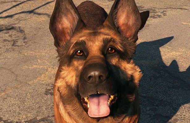 Bethesda i Xbox wpłaciły 10 tysięcy dolarów na fundację dla zwierząt, by uczcić River, na której wzorowano Dogmeata z Fallouta 4