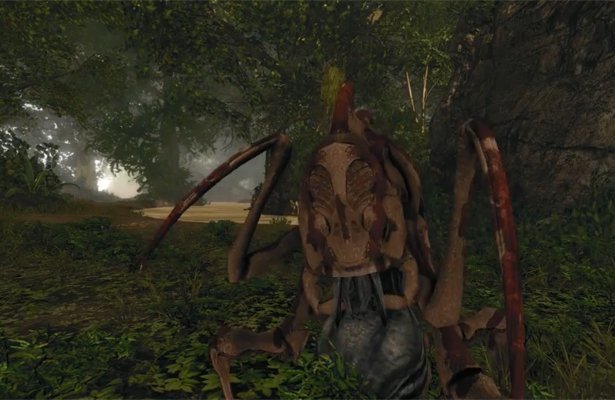 Risen 2: Dark Waters – piękno animacji [WIDEO]