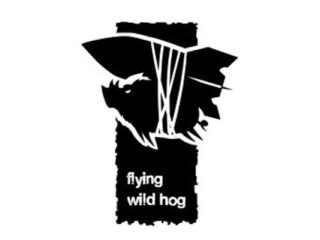 Twórcy Hard Reset pracują nad… platformówką