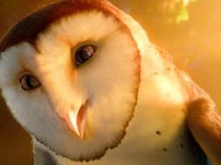 Legend of the Guardians: The Owls of Ga?Hoole: Wciel się… w sowę [WIDEO]