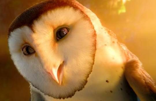 Legend of the Guardians: The Owls of Ga?Hoole: Wciel się… w sowę [WIDEO]