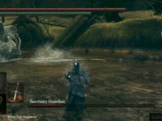 Dark Souls: Boss kontra boss [WIDEO]