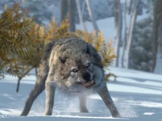 Assassin´s Creed III: Gameplay z&nbsp;E3 opatrzony komentarzem twórcy [WIDEO]