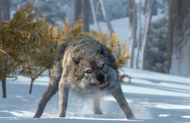 Assassin´s Creed III: Gameplay z E3 opatrzony komentarzem twórcy [WIDEO]