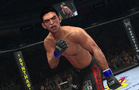 UFC Undisputed 2010: Do multi wymagany jest jednorazowy kod. THQ zapatrzyło się na EA?