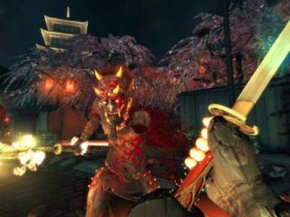 Shadow Warrior 2 ma&nbsp;kolekcjonerkę, dzięki której&nbsp;Polacy mogą czuć się uprzywilejowani [WIDEO]