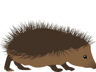 [Na marginesie] Zawody, Euro, igrzyska, Kojima, weź powiedz, pliska