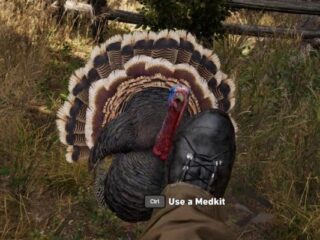 Far Cry 5: Znerfiono indyki. I naprawdę nie ma co na ten temat gdakać