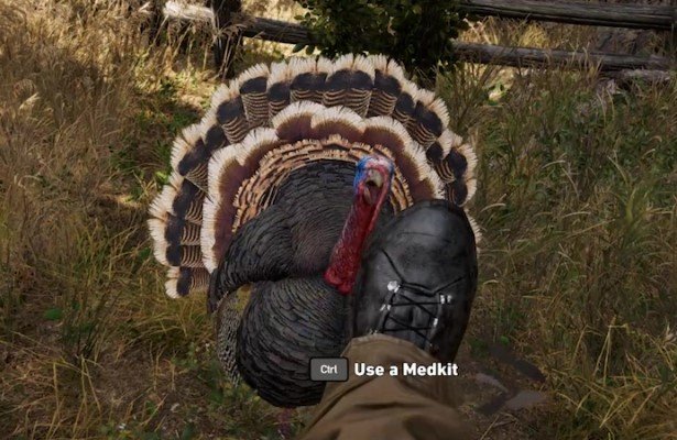 Far Cry 5: Znerfiono indyki. I naprawdę nie ma co na ten temat gdakać