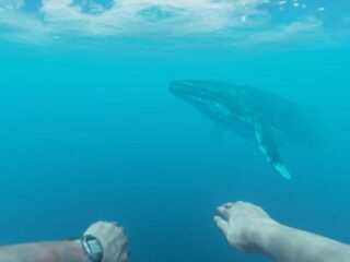 Epic Games Store ma&nbsp;dla nas kolejny prezent z&nbsp;okazji świąt