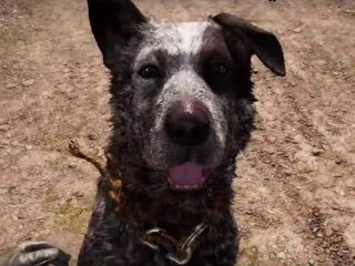Far Cry 5: Pies najlepszym przyjacielem wirtualnego człowieka [WIDEO]
