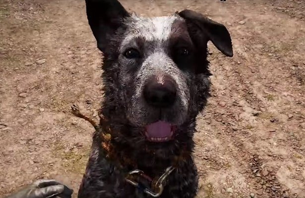 Far Cry 5: Pies najlepszym przyjacielem wirtualnego człowieka [WIDEO]