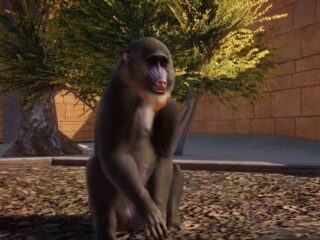 Planet Zoo: Poznajcie lepiej indyjski zwierzyniec [WIDEO]