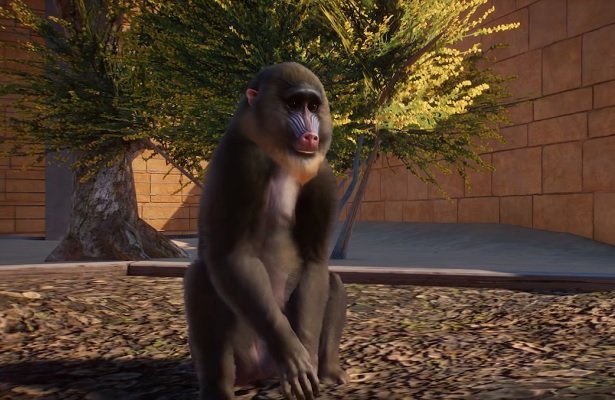 Planet Zoo: Poznajcie lepiej indyjski zwierzyniec [WIDEO]