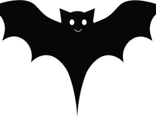 [Na marginesie] Piłkarze się kapkę różnią, pudełko wypchane próżnią