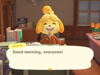 Animal Crossing: New Horizons z 5 milionami sprzedanych fizycznych kopii w samej Japonii